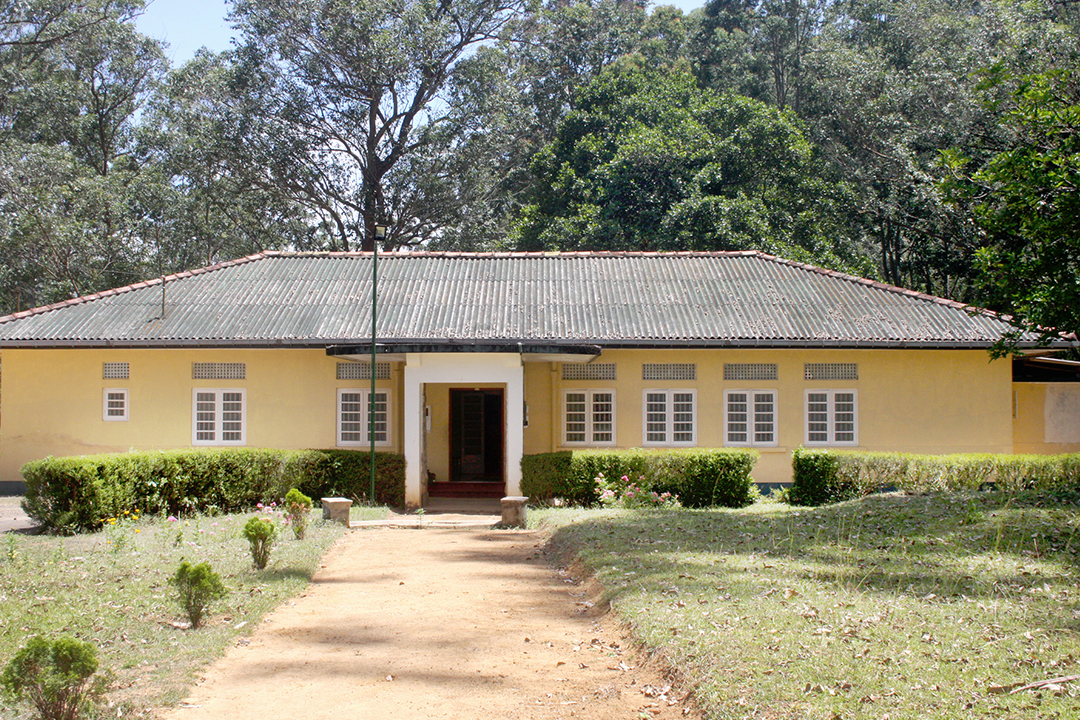 Cirtuit Bunglow 02